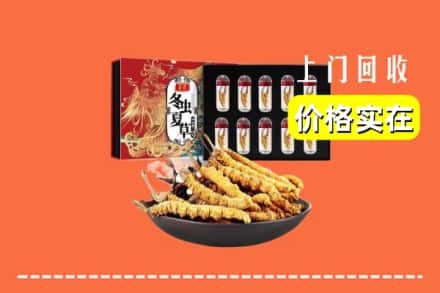 赣州崇义县回收冬虫夏草