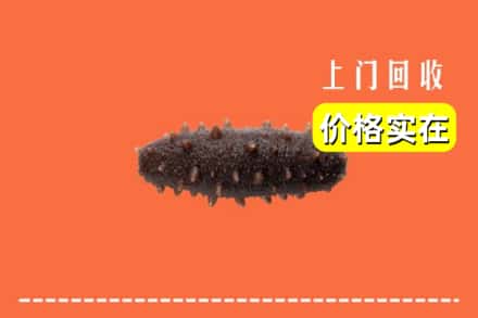 赣州崇义县回收海参
